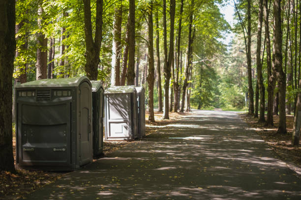 Best Porta potty rental for festivals  in Mayville, MI